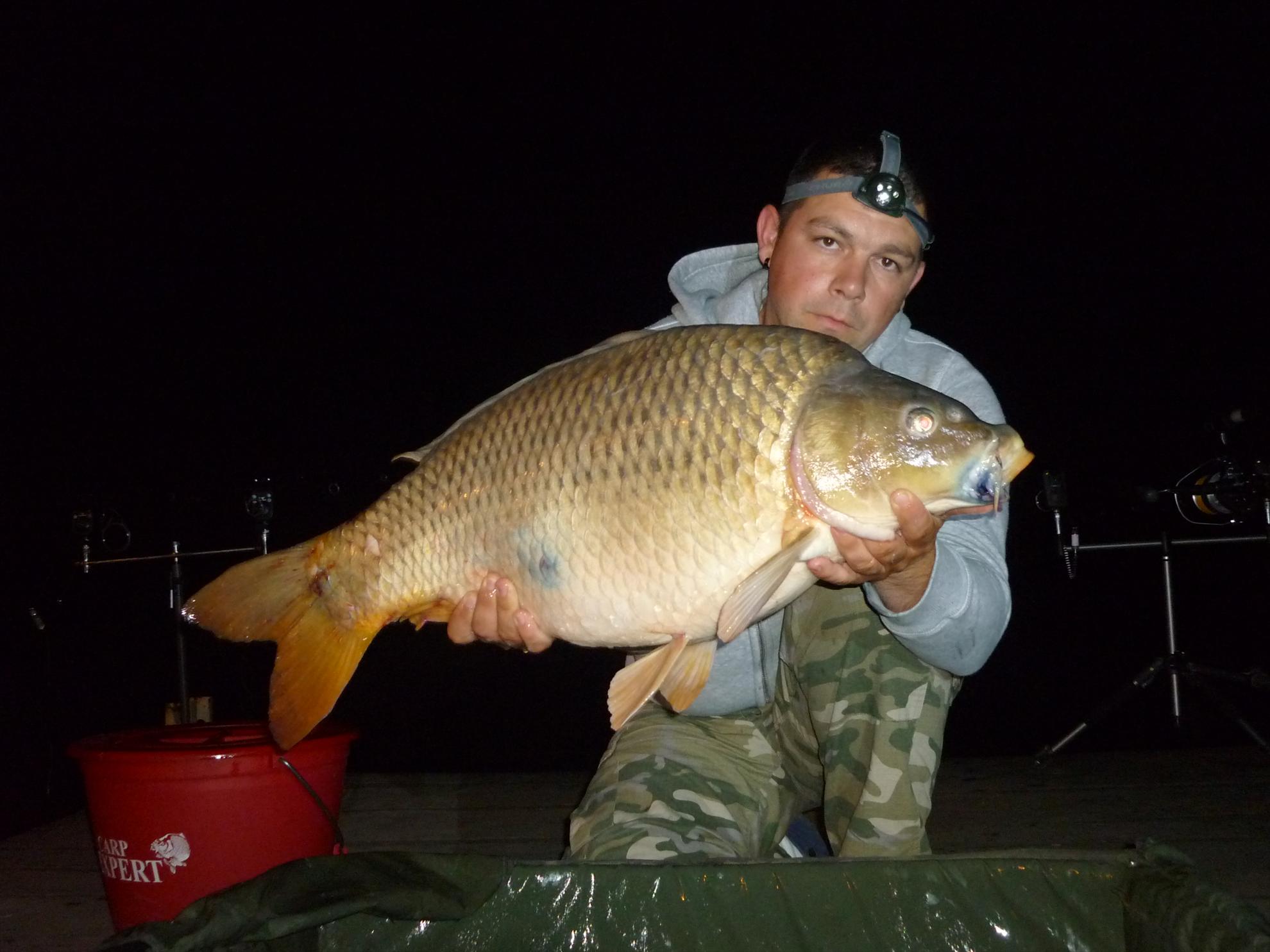 Nagykallo 2011 - p1020374.JPG